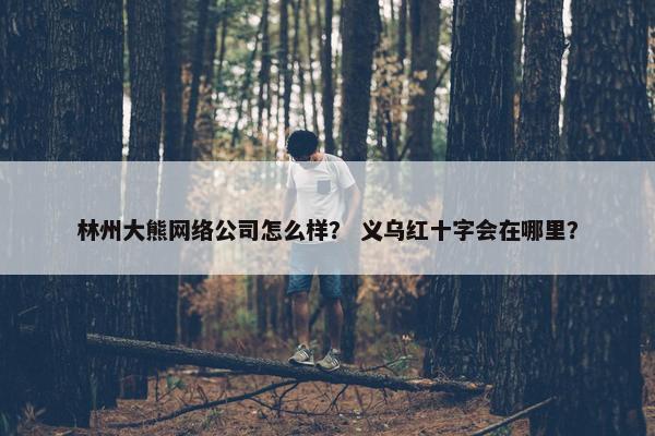 林州大熊网络公司怎么样？ 义乌红十字会在哪里？