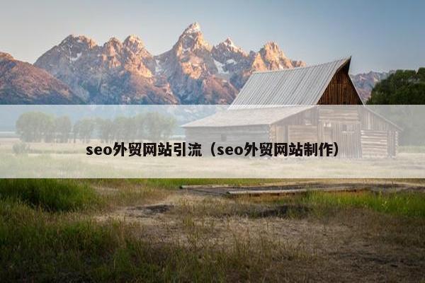 seo外贸网站引流（seo外贸网站制作）
