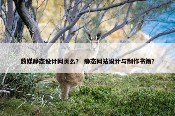 数媒静态设计网页么？ 静态网站设计与制作书籍？