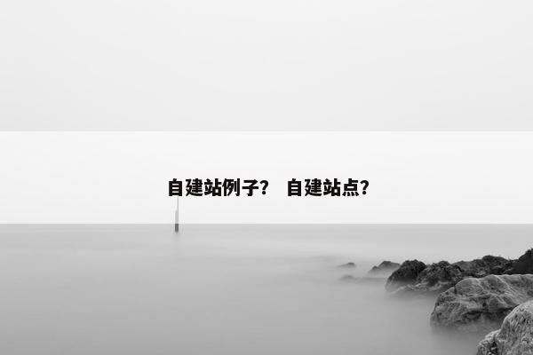 自建站例子？ 自建站点？