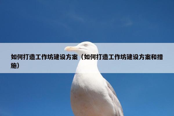 如何打造工作坊建设方案（如何打造工作坊建设方案和措施）