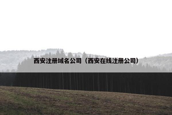 西安注册域名公司（西安在线注册公司）