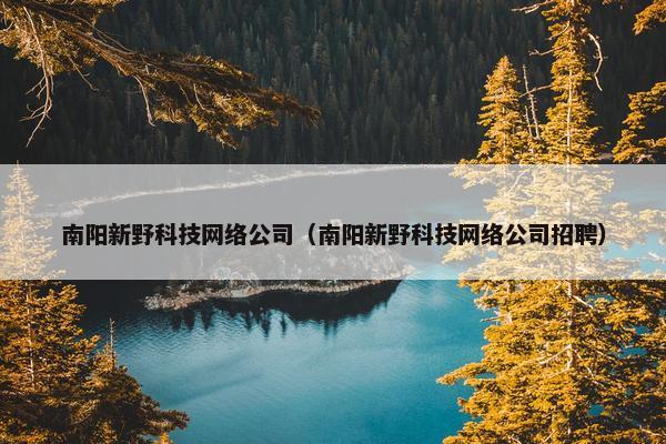南阳新野科技网络公司（南阳新野科技网络公司招聘）