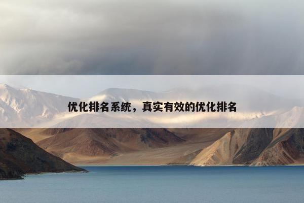 优化排名系统，真实有效的优化排名