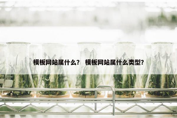 模板网站属什么？ 模板网站属什么类型？