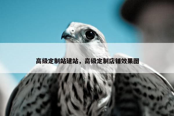高级定制站建站，高级定制店铺效果图