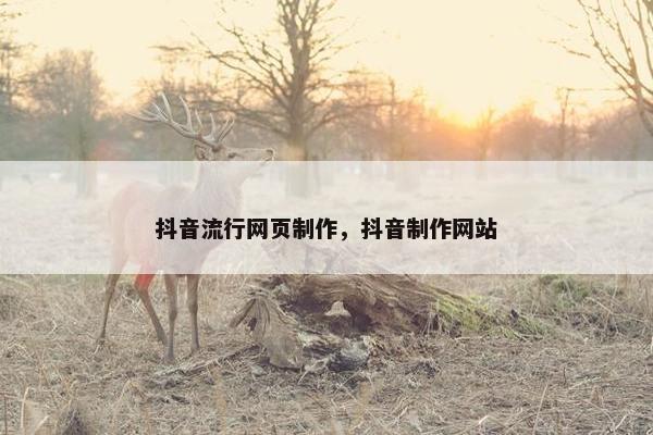 抖音流行网页制作，抖音制作网站