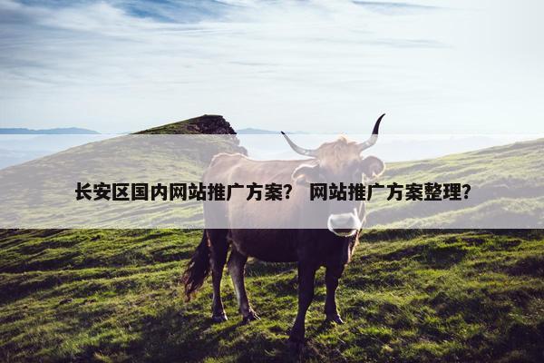 长安区国内网站推广方案？ 网站推广方案整理？