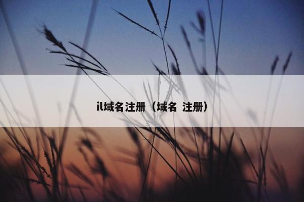 il域名注册（域名 注册）