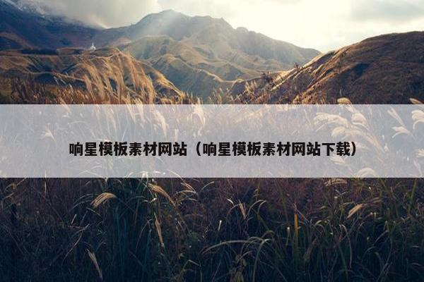 响星模板素材网站（响星模板素材网站下载）