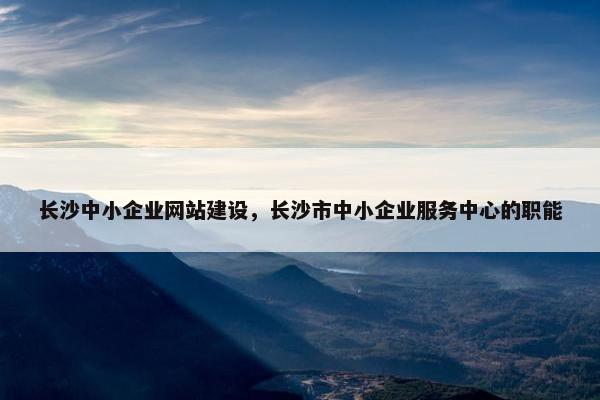 长沙中小企业网站建设，长沙市中小企业服务中心的职能