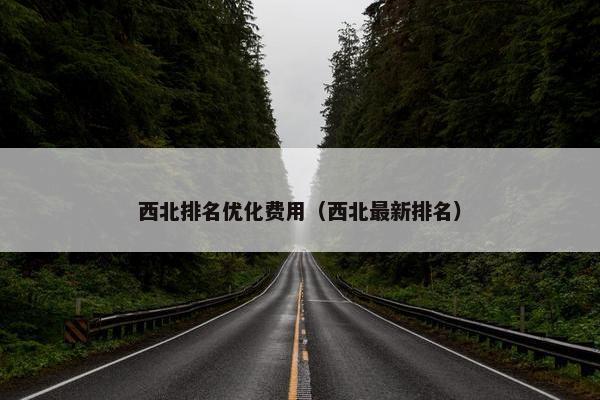 西北排名优化费用（西北最新排名）