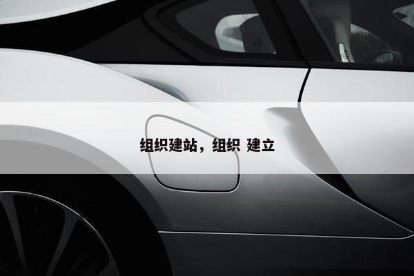 组织建站，组织 建立
