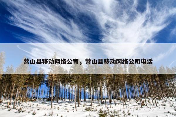 营山县移动网络公司，营山县移动网络公司电话
