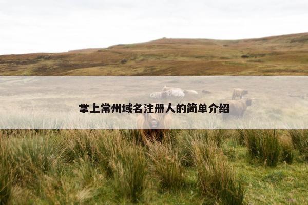 掌上常州域名注册人的简单介绍