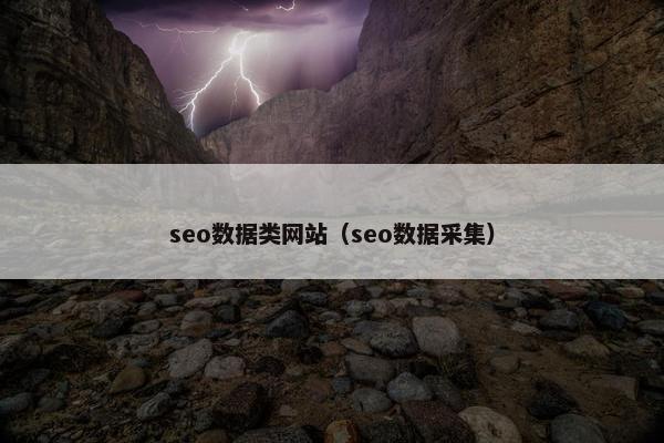 seo数据类网站（seo数据采集）