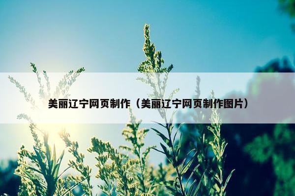 美丽辽宁网页制作（美丽辽宁网页制作图片）