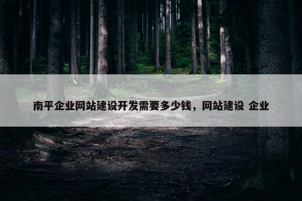 南平企业网站建设开发需要多少钱，网站建设 企业
