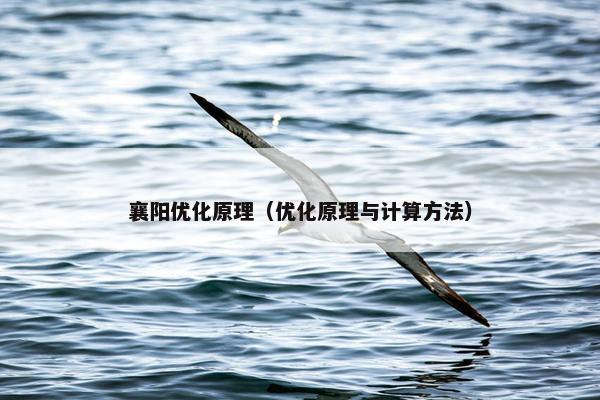 襄阳优化原理（优化原理与计算方法）