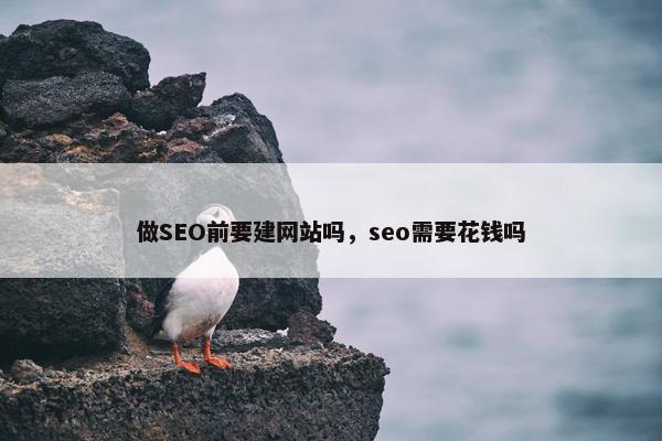 做SEO前要建网站吗，seo需要花钱吗