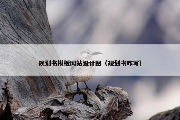 规划书模板网站设计图（规划书咋写）