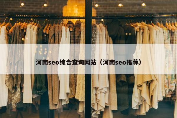 河南seo综合查询网站（河南seo推荐）