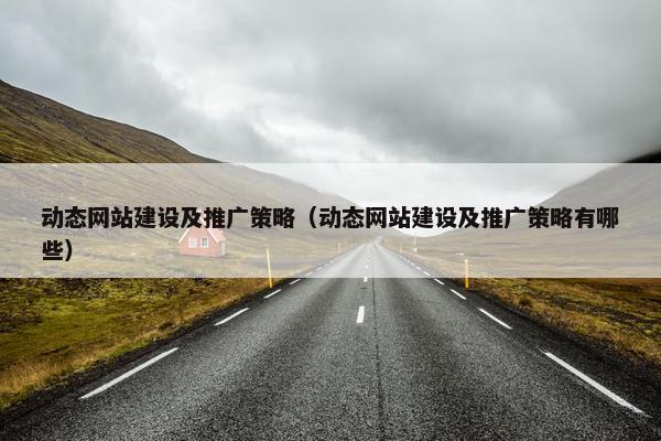 动态网站建设及推广策略（动态网站建设及推广策略有哪些）