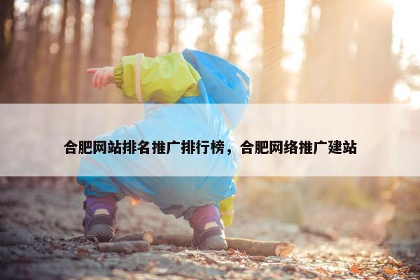合肥网站排名推广排行榜，合肥网络推广建站