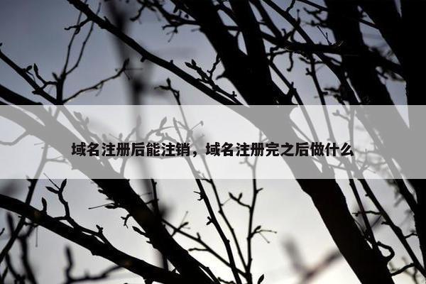 域名注册后能注销，域名注册完之后做什么