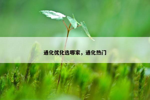 通化优化选哪家，通化热门