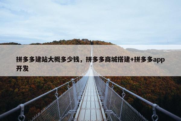 拼多多建站大概多少钱，拼多多商城搭建+拼多多app开发