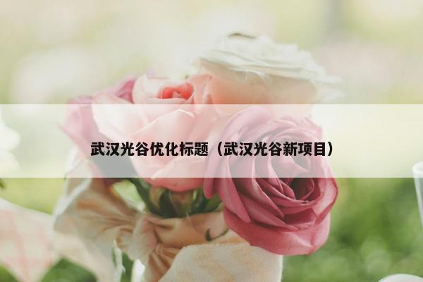 武汉光谷优化标题（武汉光谷新项目）