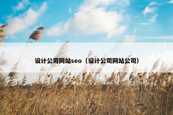 设计公司网站seo（设计公司网站公司）