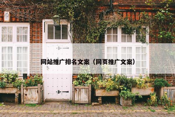 网站推广排名文案（网页推广文案）