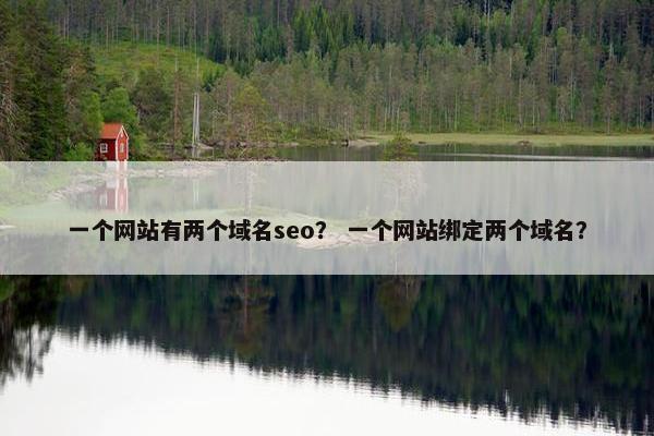 一个网站有两个域名seo？ 一个网站绑定两个域名？