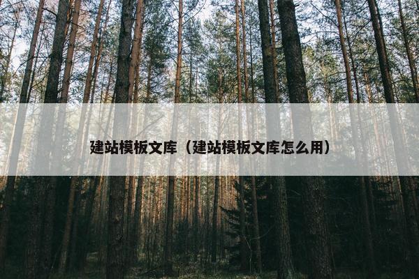 建站模板文库（建站模板文库怎么用）