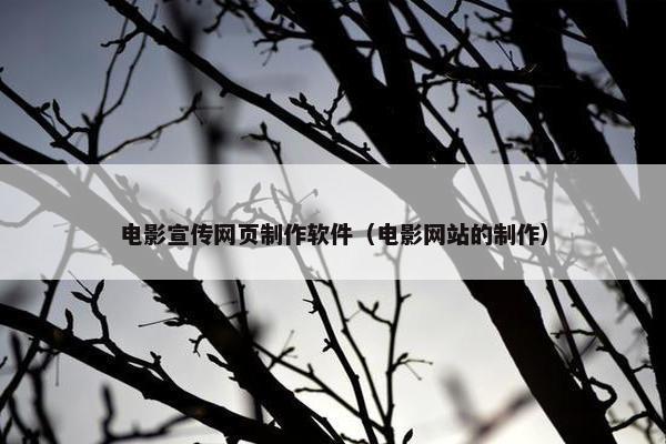 电影宣传网页制作软件（电影网站的制作）