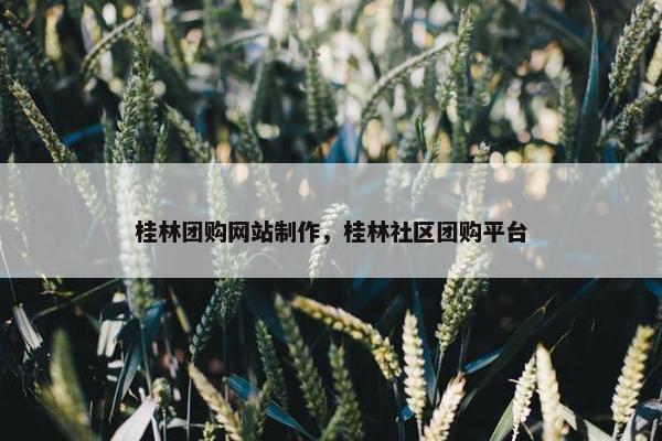 桂林团购网站制作，桂林社区团购平台