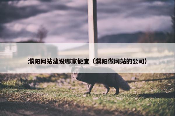 濮阳网站建设哪家便宜（濮阳做网站的公司）