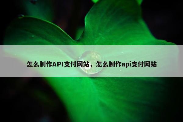 怎么制作API支付网站，怎么制作api支付网站