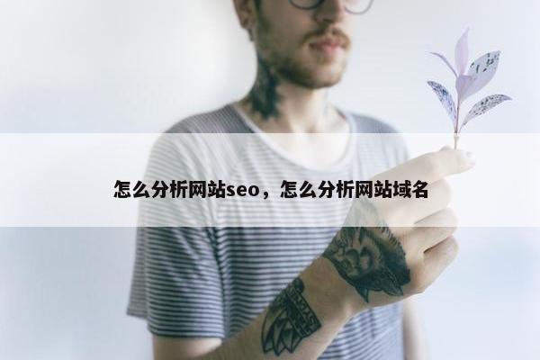 怎么分析网站seo，怎么分析网站域名