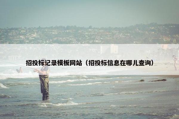 招投标记录模板网站（招投标信息在哪儿查询）