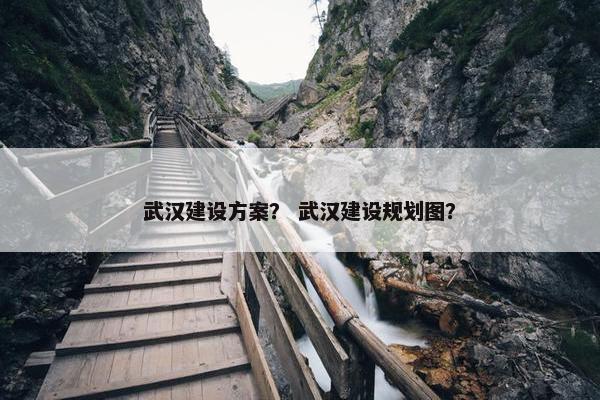 武汉建设方案？ 武汉建设规划图？