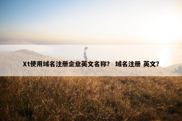 Xt使用域名注册企业英文名称？ 域名注册 英文？