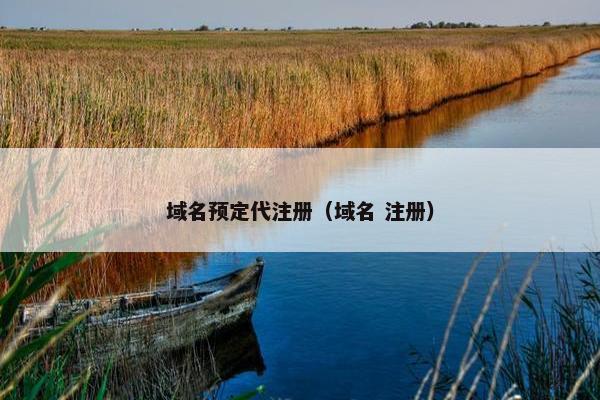 域名预定代注册（域名 注册）