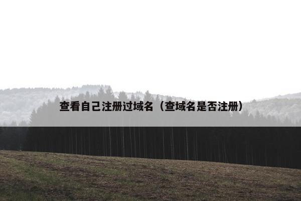 查看自己注册过域名（查域名是否注册）