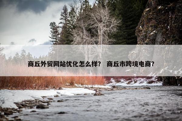 商丘外贸网站优化怎么样？ 商丘市跨境电商？