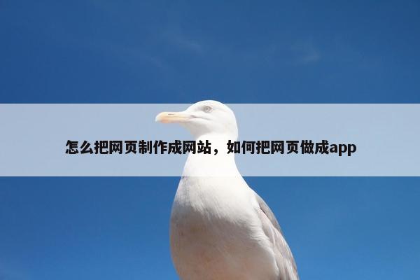 怎么把网页制作成网站，如何把网页做成app