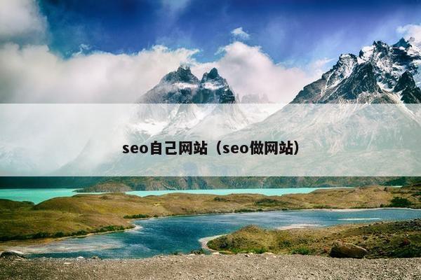 seo自己网站（seo做网站）