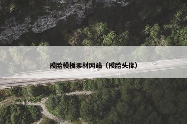 摸脸模板素材网站（摸脸头像）